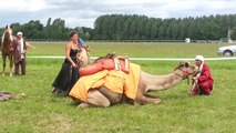 Dromadaires à La Chartre sur le Loir - spectacle cheval/dromadaire 2