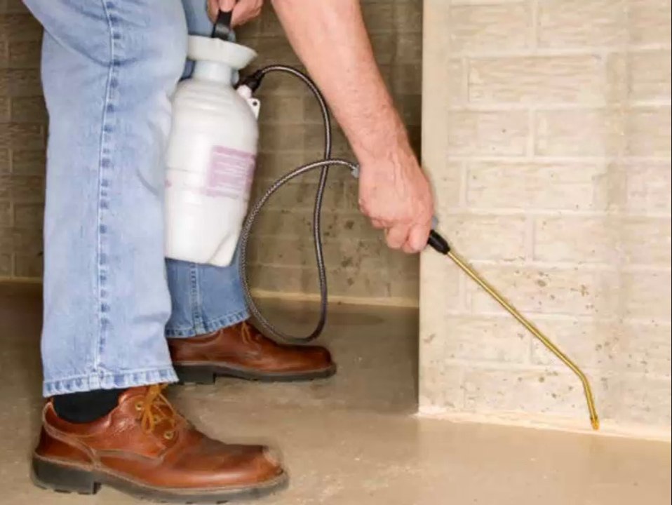Commercial Pest Control Service Shanty Bay ON |
