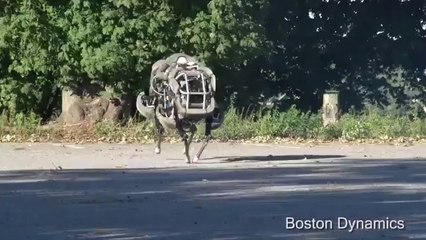 WildCat Boston Dynamics