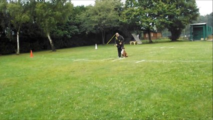 Haron entrainement juillet 2014  20 mois