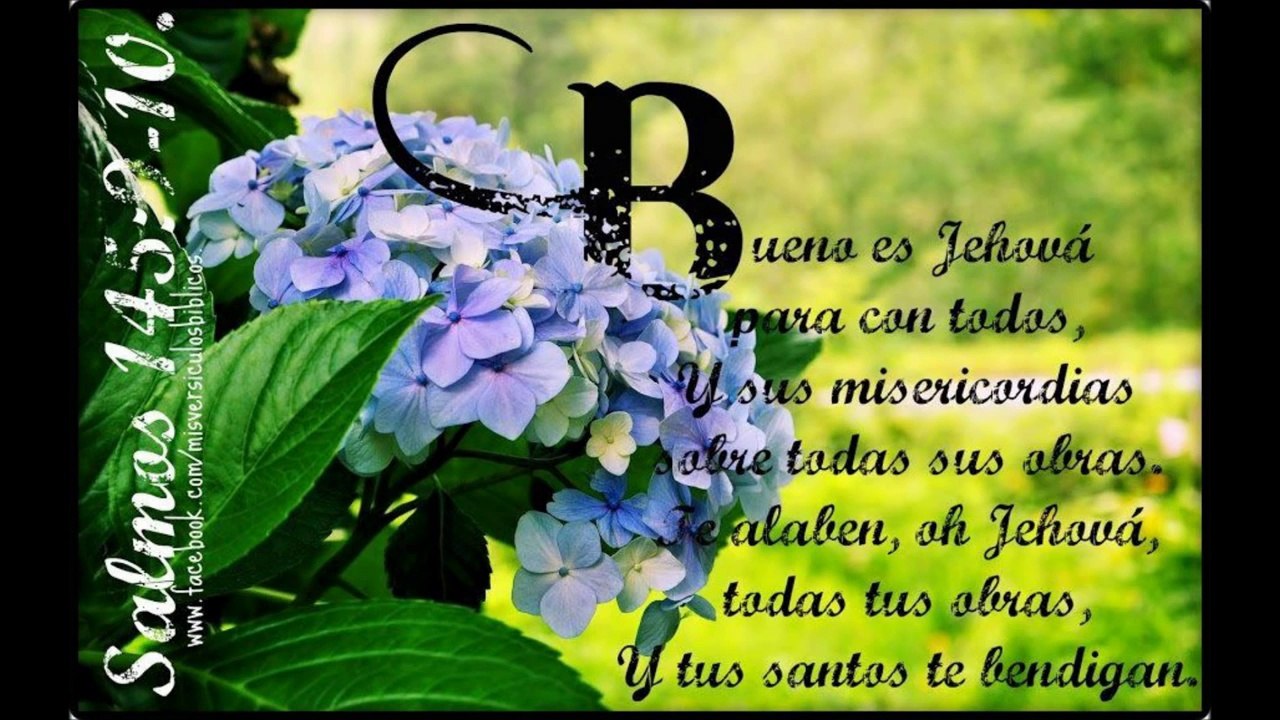 Maranatha del nombre me enamoraste