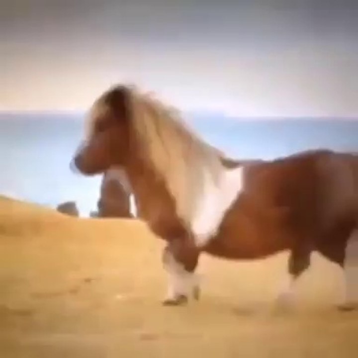 )