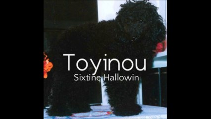 Sixtine Hallowin-Toyinou