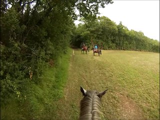 2eme galop plus rapide que le precedent :D 10/08/2014