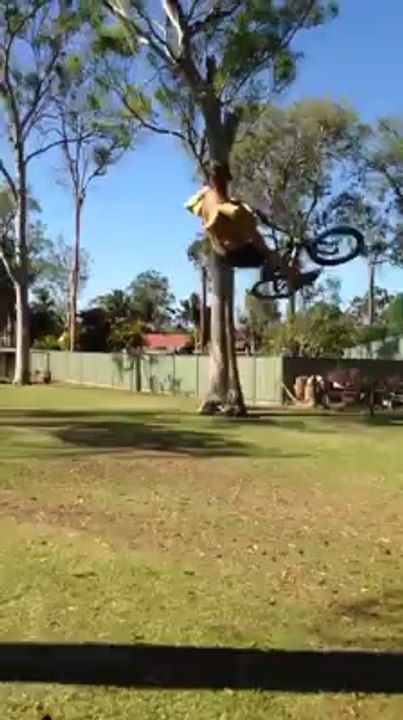 Funny Videos (12)