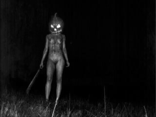 Mental Destruction - Metamorphoses