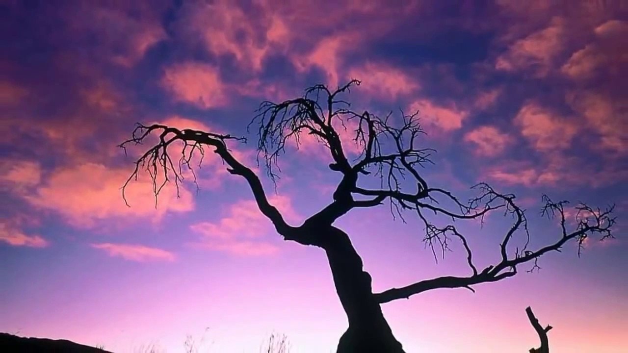 Nim wstanie dzień  ~ EDMUND  FETTING