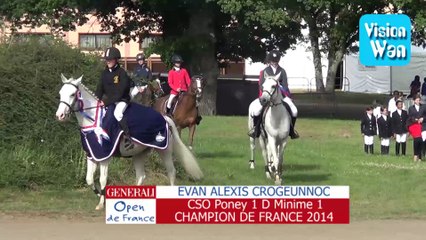 cso poney 1 D minime 1