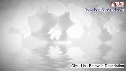 PipJet Reviews - pipjet forum