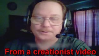 Why Do People Laugh At Creationist