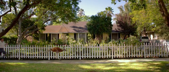 Alexander and the Terrible, Horrible, No Good, Very Bad Day - Official Trailer