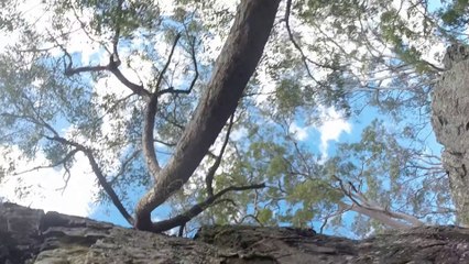 (Helmet cam climb) Danny - Green Lane - Right of Passage