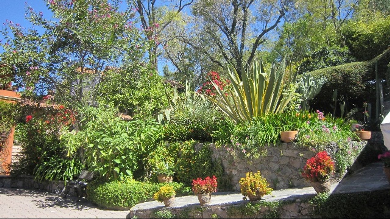 Lola Beltran~Paloma Negra~Beautiful San Miguel de Allende, MX