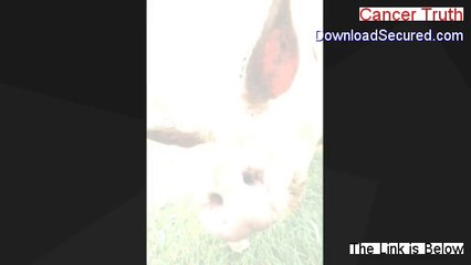 Cancer Truth PDF Free [cancer truth documentary 2014]