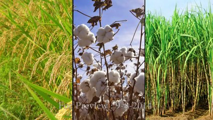 SWAT Agro Chemicals TV Commercial (Corporate)