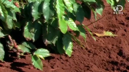 How We Can Live On Mars Without A Spacesuit - YouTube