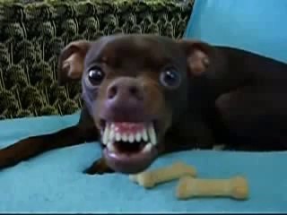 ☜블랙잭사이트▥♧◑▶ YAM ７７７.℃OM ◁◐ª블랙잭사이트블랙잭사이트블랙잭사이트블랙잭사이트블랙잭사이트블랙잭사이트블랙잭사이트블랙잭사이트