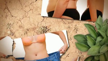 Weight Loss Tips For Women