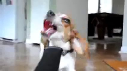 ＊블랙잭하는곳◎◀◐▶ YAM ７７７.℃OM ◁◑○블랙잭하는곳블랙잭하는곳블랙잭하는곳블랙잭하는곳블랙잭하는곳블랙잭하는곳블랙잭하는곳블랙잭하는곳