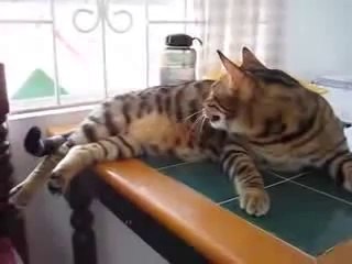 ¶블랙잭하는방법㏂ª★▷ YAM ７７７.℃OM ◀★▤블랙잭하는방법블랙잭하는방법블랙잭하는방법블랙잭하는방법블랙잭하는방법블랙잭하는방법블랙잭하는방법블랙잭하는방법