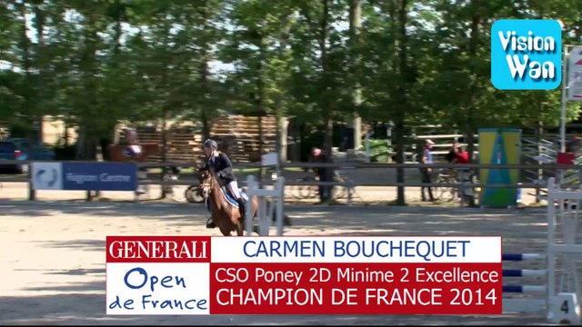 cso poney 2 D minime excellence