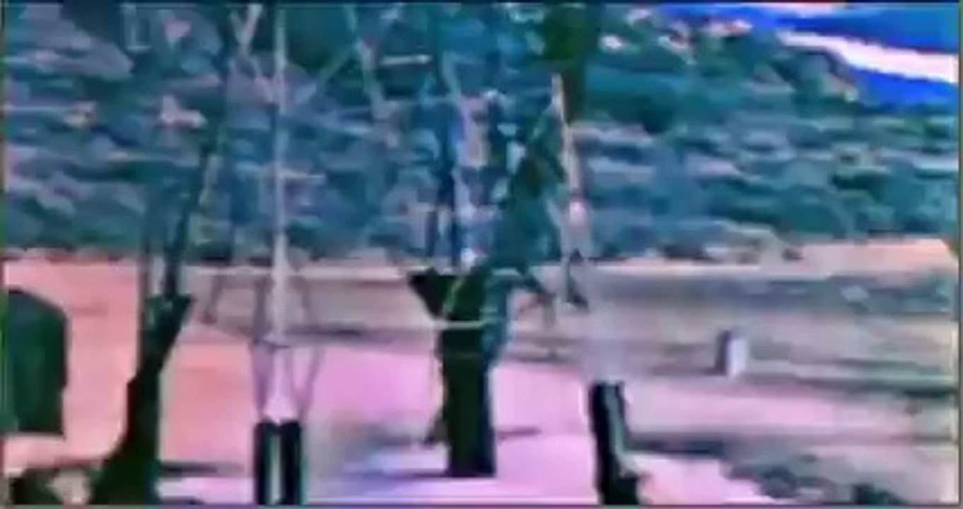 Ufos und Aliens - Beklemmede Berichte 2012