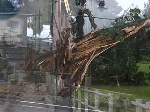 9 человек погибли в Японии от тайфуна «Халонг»