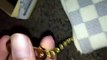 Cheap Belt Free Shipping,Fast ship ! replicas Gucci belt louis vuitton coin pouches for sale
