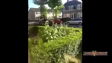 BEST FAIL WIN COMPILATION OF AUGUST 2014