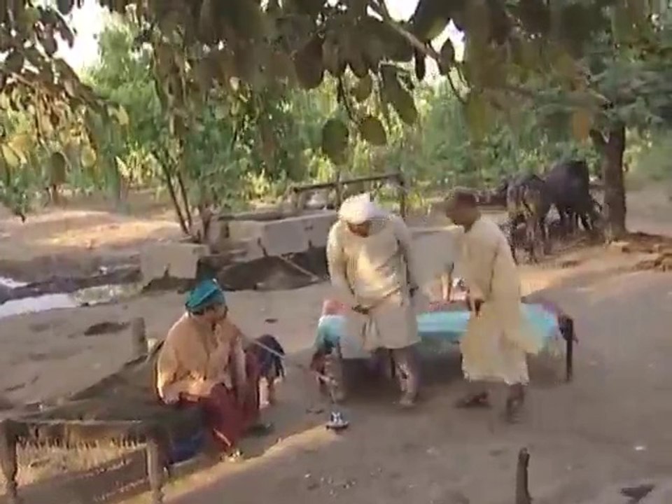 Silage Making
