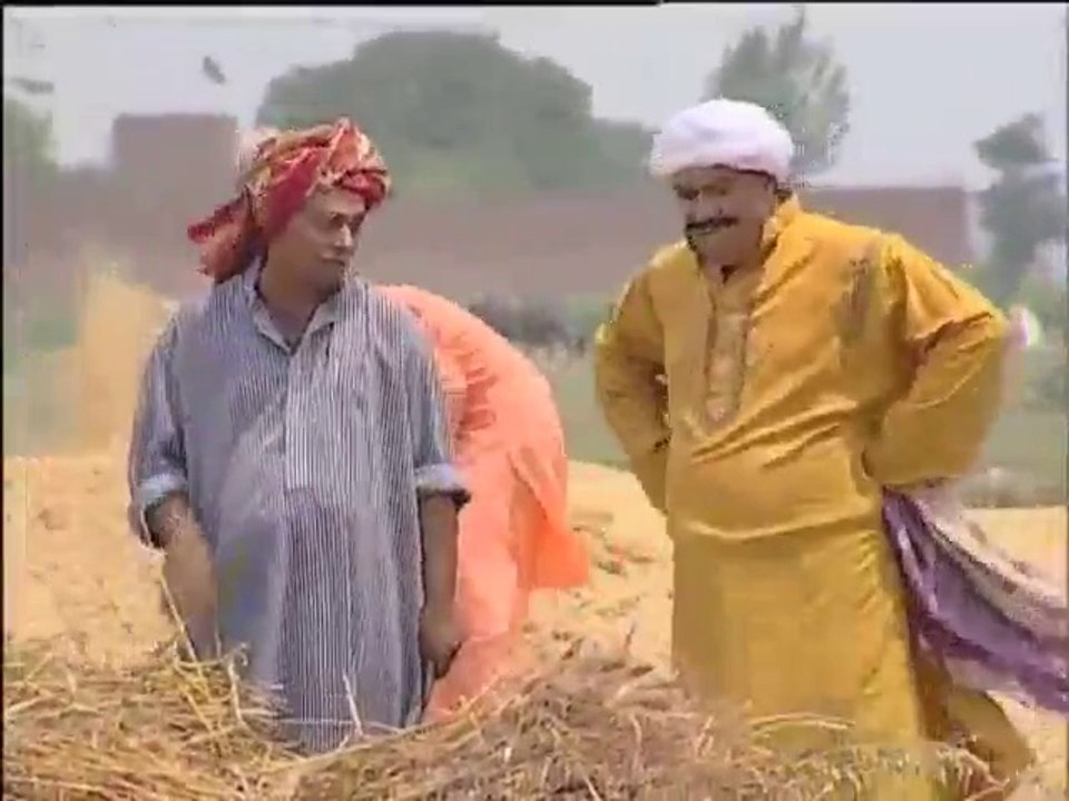 Wheat Straw Enrichment