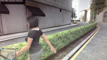 Other GTA online hacker