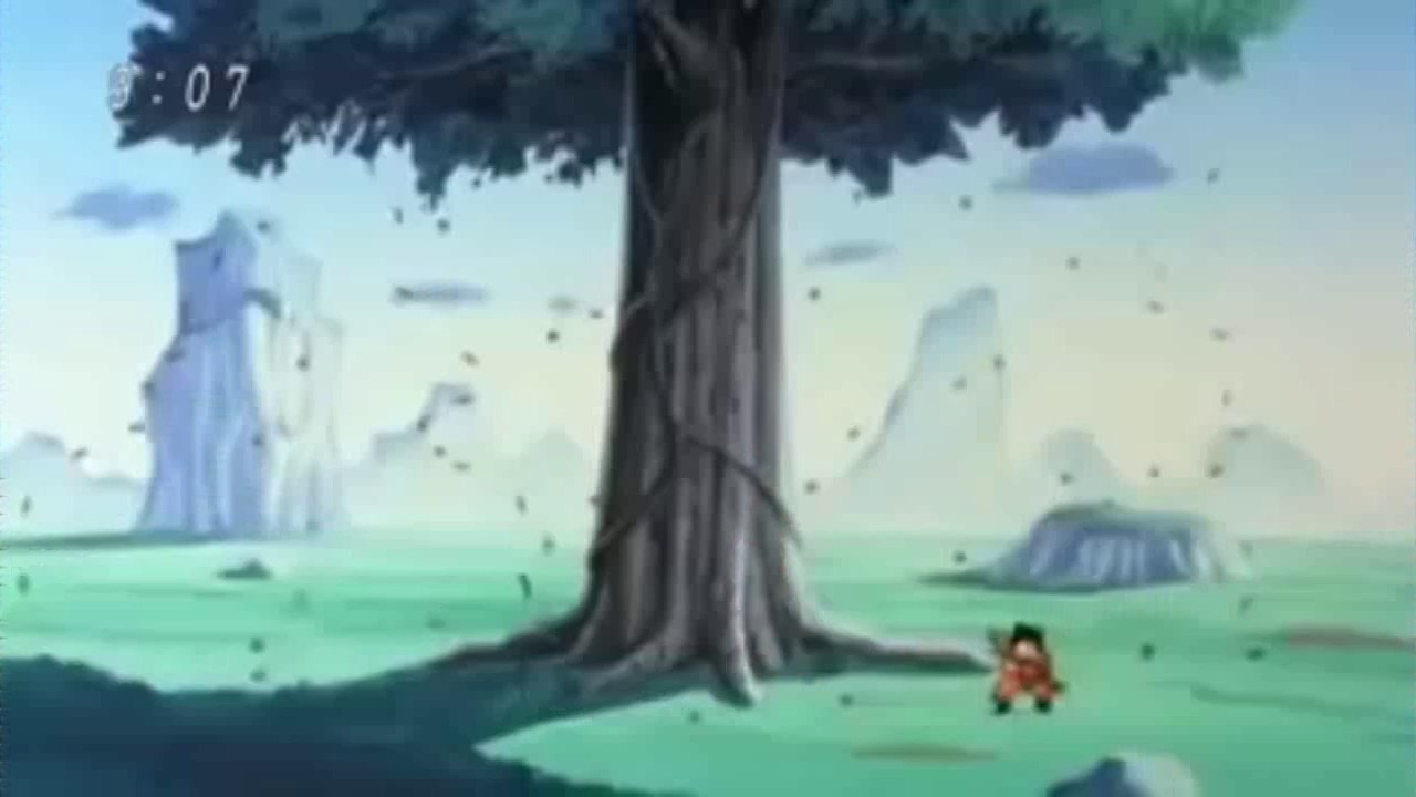 26450660