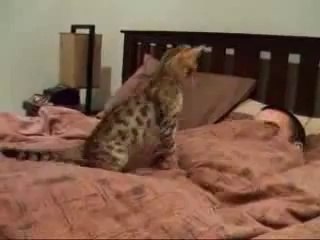 ▧바카라게임♪＃▧▷ YAM ７７７.℃OM ◀▨▽바카라게임바카라게임바카라게임바카라게임바카라게임바카라게임바카라게임바카라게임