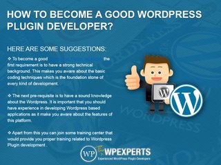 Wordpress plugin developer