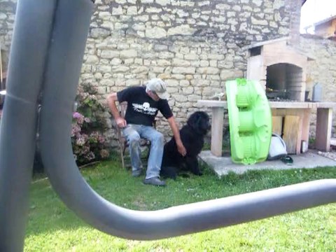 repos après avoir couper mon bois câline la grosse Iska