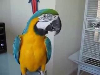 △바카라게임방법™▧▨▷ YAM ７７７.℃OM ◀▧§바카라게임방법바카라게임방법바카라게임방법바카라게임방법바카라게임방법바카라게임방법바카라게임방법바카라게임방법