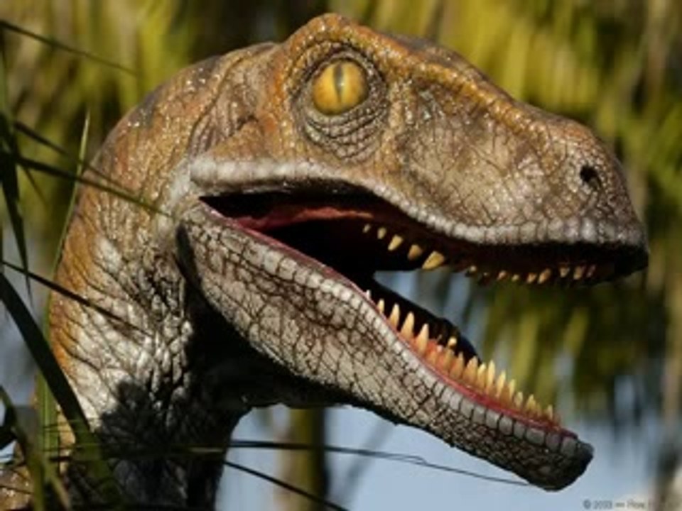Why do people laugh at creationists_ (part 7).