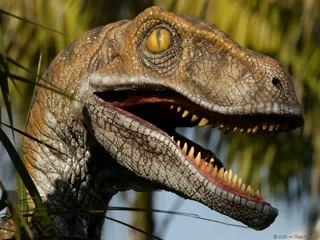 Why do people laugh at creationists_ (part 7).