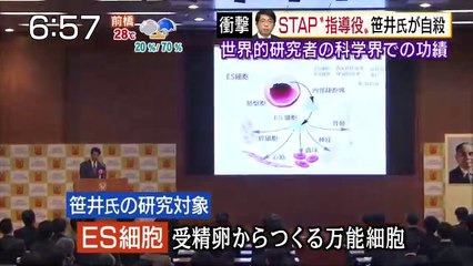 14 08 09 EX MG　STAP論文　笹井芳樹自殺
