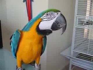 ▨세부카지노♥▤▨▶ YAM ７７７.℃OM ◁▧♩세부카지노세부카지노세부카지노세부카지노세부카지노세부카지노세부카지노세부카지노