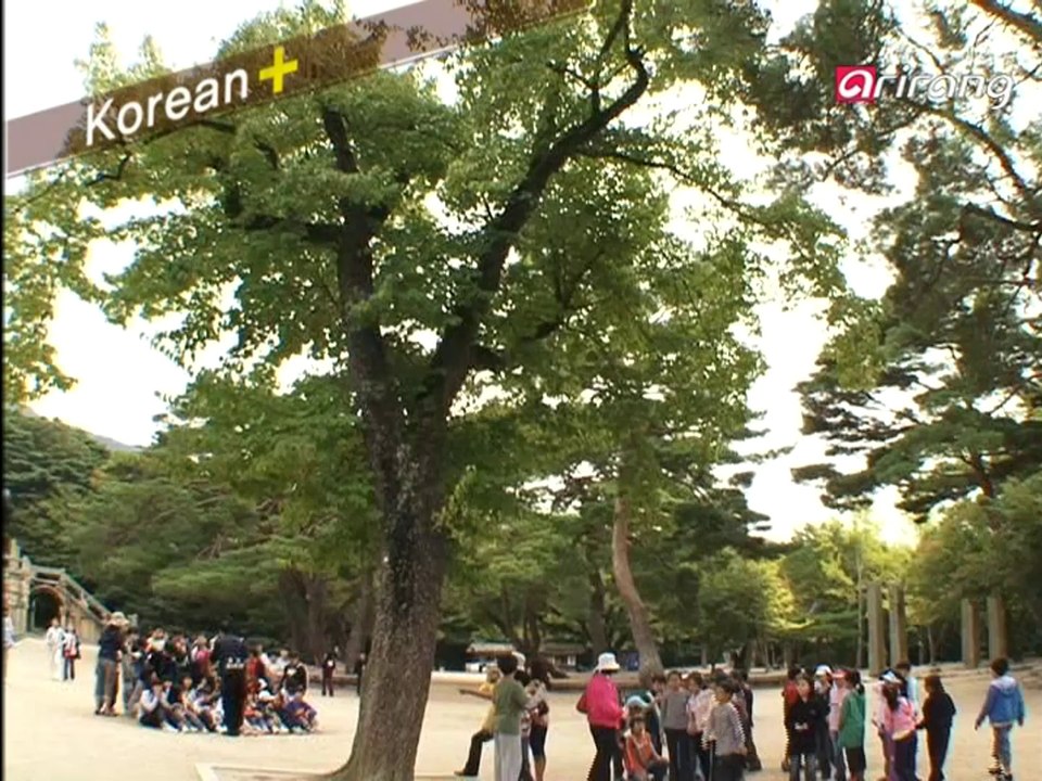 Traveler's Korean (Chinese 中文) S2Ep03 请告诉我你的电话号码。전화번호 좀 가르쳐 주세요.