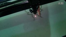 CNC laser cutting machine work on cardboard for cutting video