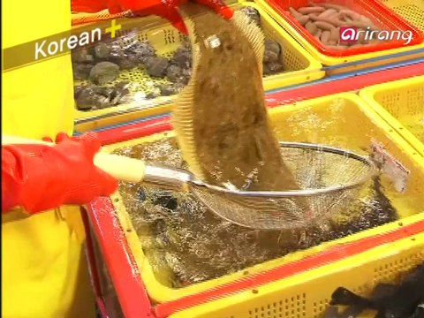 Traveler's Korean (Chinese 中文) S2Ep05 我想去釜山。 제주도에 가고 싶어요.