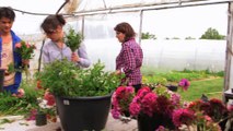 L’Européen d’à côté : Des fleurs pour aider le retour à l'emploi en Pays de la Loire