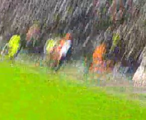 You'll never walk alone