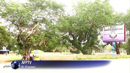 Ebola crisis: Liberia politicians call for election delay