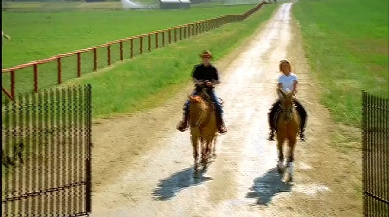 Curiosidades do Cavalo Lusitano #1 - Coudelaria Luso Brasileira - Robison Lusitanos