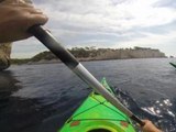 Le kayak de mer comme si vous y étiez